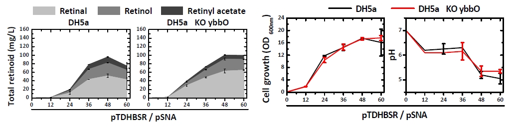 그림 18. ybbO 유전자 결손을 통한 레티노이드 생산량