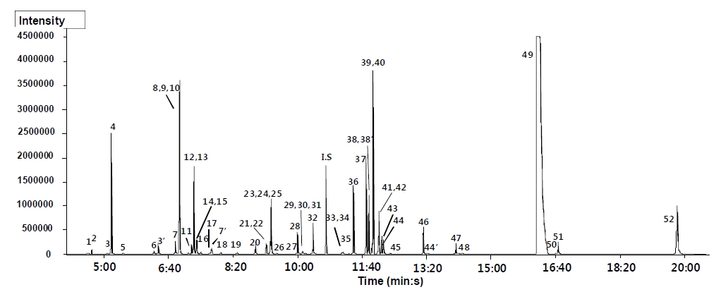 Fig. 1. Selected ion chromatogram of metabolites extracted from black rice (cv. Josengheugchalbyeo; BR-3) as MO/TMS derivatives separated on a 30 m × 0.25 mm I.D