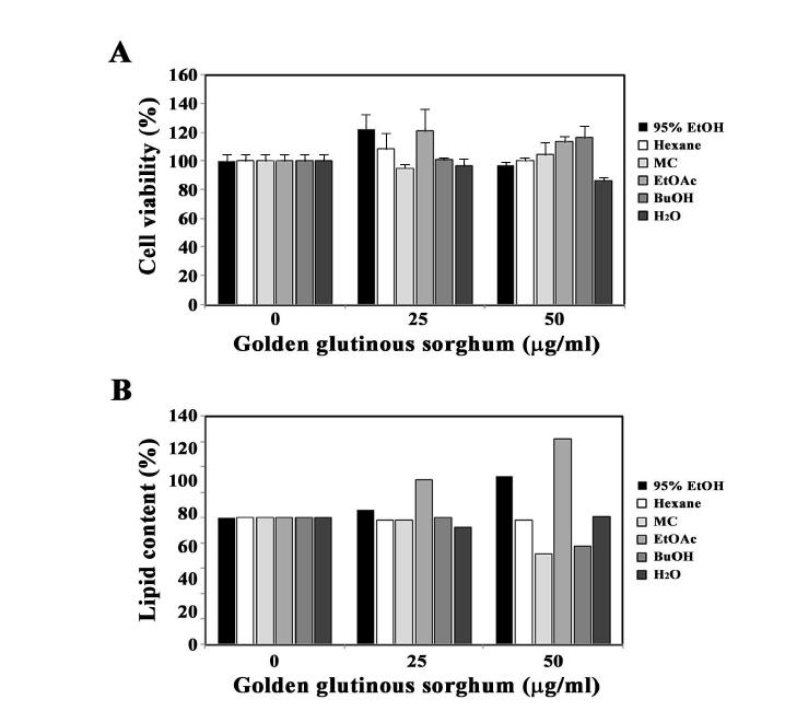 Effect of Golden glutinous sorghum extract fractions on adipocyte differentiation in 3T3-L1 pre-adipocytes.