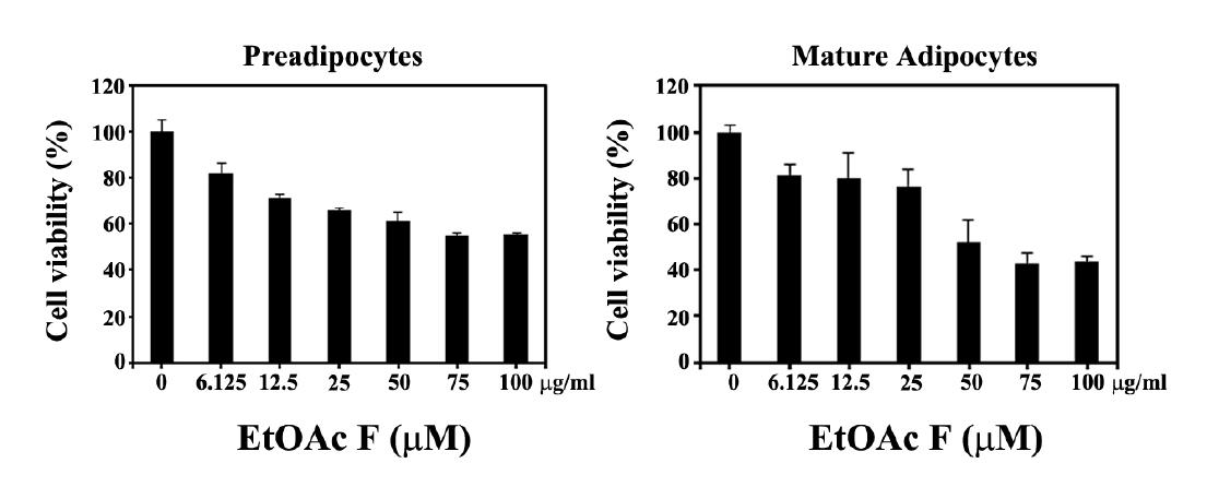 Effect of S-EtOAc-F fraction on the cell viability of 3T3L1 preadipocytes (A) and mature adipocytes (B).