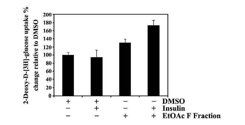 Synergistic effect of S-EtOAc-F fraction with insulin on 2-deoxy-D-[1-3H] glucose uptake in differentiated adipocytes.
