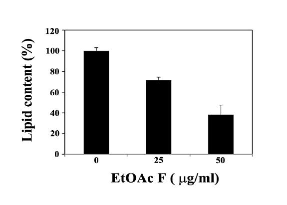 Inhibitory effect of S-EtOAc-F fraction (25 or 50 μg/ml) on intracellular lipid accumulation during induced adipocytic differentiation of 3T3L1 preadipocytes for 6 days.