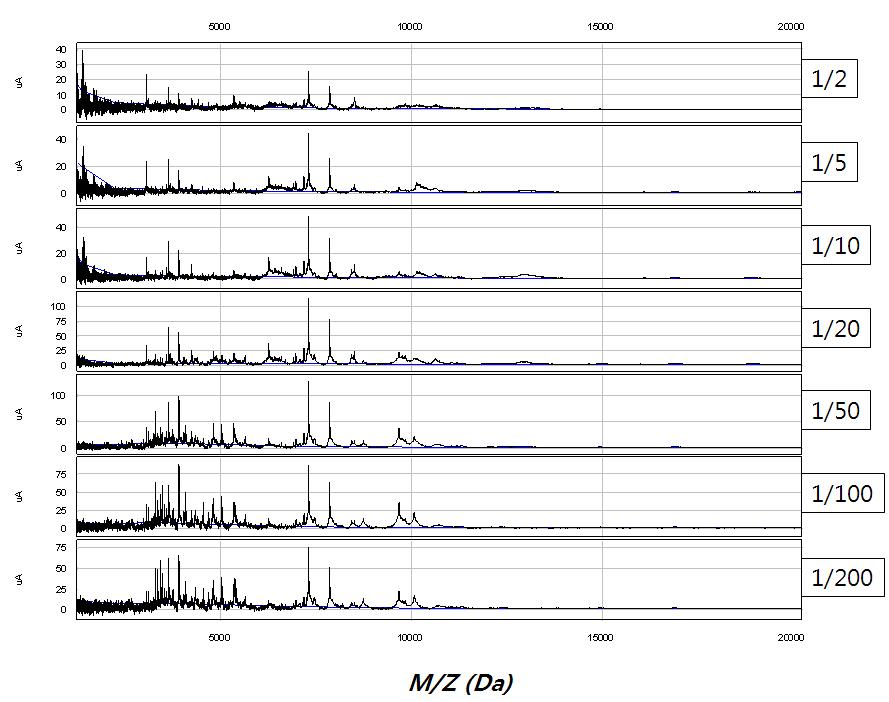 Peptide peak spectra of Q10 chip array of SELDI-TOF MS in sorghum seed with different dilution factors of high stringency binding buffer.