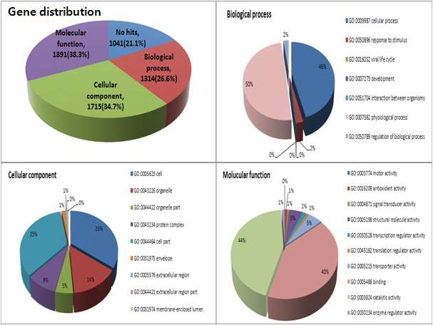 Fig. 1. Gene distribution analysis of functional annotation of sequence homology-based transitive assignment with BLA STX