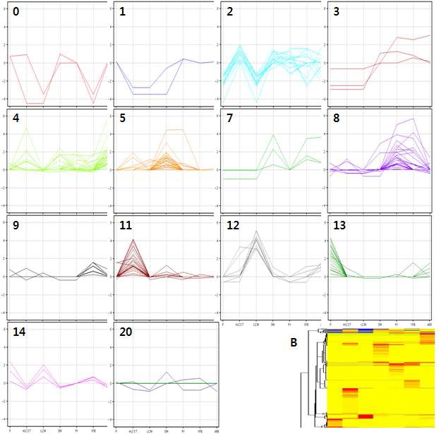 Fig. 2. Tissue-specific contig analysis using expression pattern clustering by hypergeometric test.