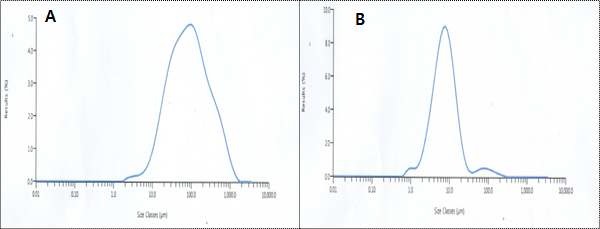 Fig. 1. 팽이버섯의 분말 입자 분석