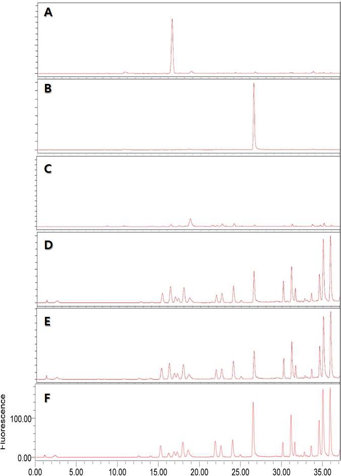 Fig. 3. 유산균 발효를 통한 GABA의 함량 변화