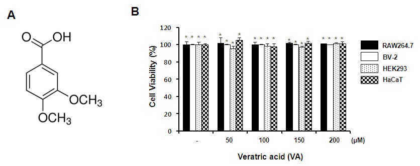 Fig. 1. Effects of veratric acid on cell viability in normal cell lines.