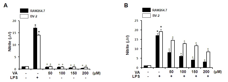 Fig. 2. Effects of veratric acid on the nitric oxide production in LPS-stimulated RAW 264.7 and BV-2 cells