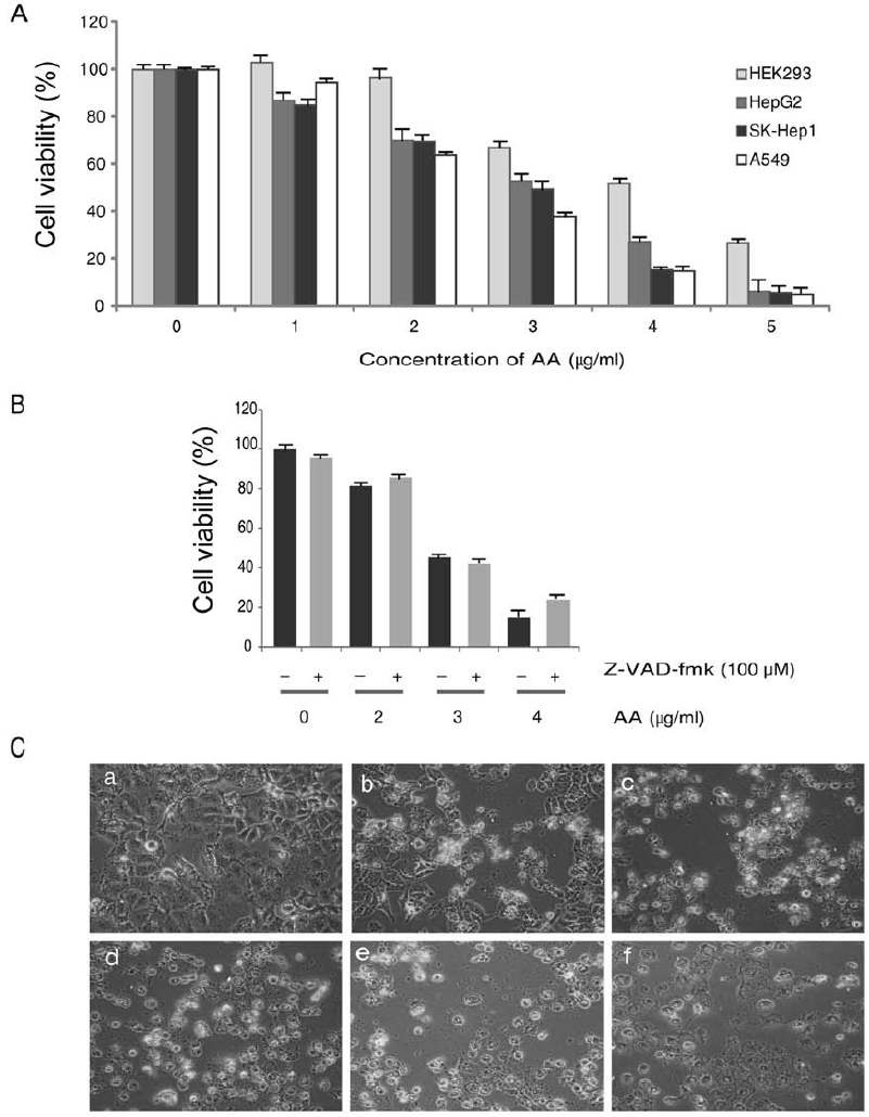 Fig. 1. Cell viability in AA treated cell lines