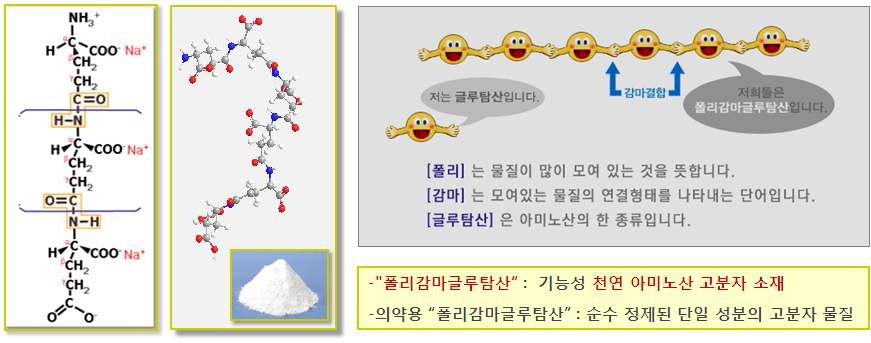 그림 6. 천연 아미노산 소재 폴리감마글루탐산.