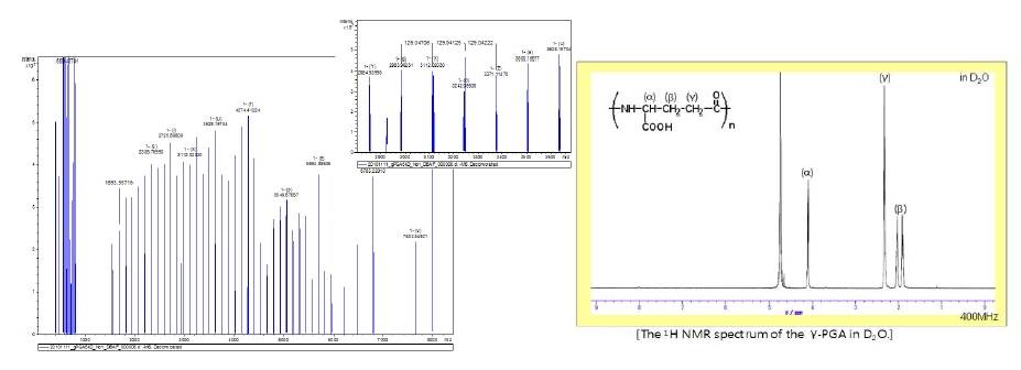 그림 10. 기능성 펩타이드의 mass spectrometry 결과 및 1H NMR 결과.