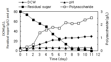 Fig. 5. Time profiles of cell growth, polysaccharide production, pH, and residual sugar at C/N=80/10