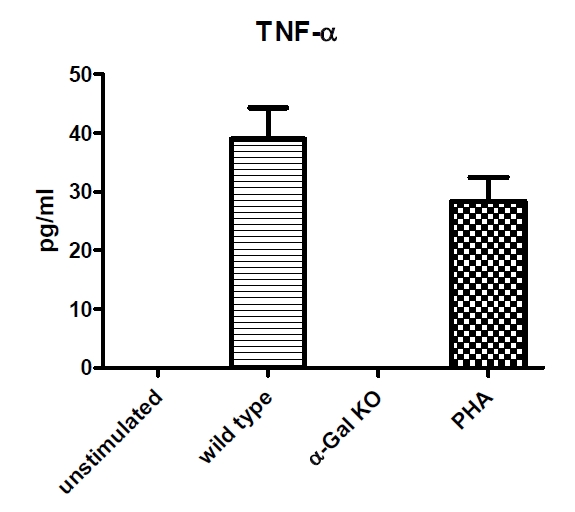 그림 9. 돼지 생 뼈에 의한 활성화 48시간 후 사람 말초혈액단핵구 세포에 의해생성된 TNF-α 농도