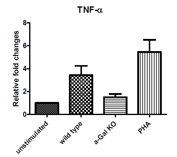 그림 11. 돼지 생 뼈에 의해 활성화된 사람 말초혈액단핵구 세포에서 24시간 후 TNF-αmRNA의 농도