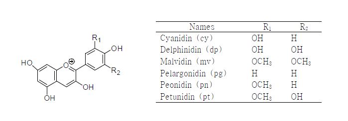 그림 26. 주요 안토시아니딘의 화학구조