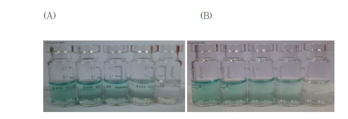 그림 33. 안토시아닌 추출물(A)과 카로티노이드 추출물(B)의 농도별 ABTS 반응 후의 색상 비교