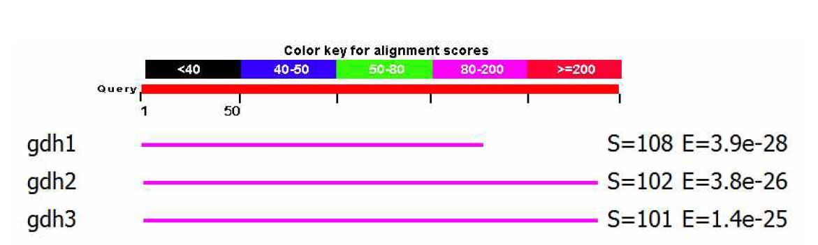 Figure 6. Bacillus subtilis의 GDH 아미노산 서열을 이용한 C. glutamicum genome database의 BLAST 검색결과.