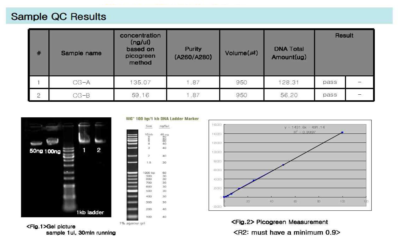 Figure 1. C. glutamicum genomic DNA isolation and QC for resequencing