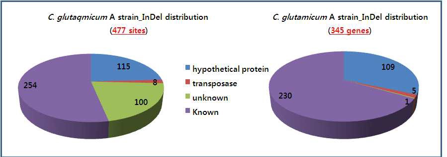 Figure 3. InDel distribution of L-lysine C. glutamicum