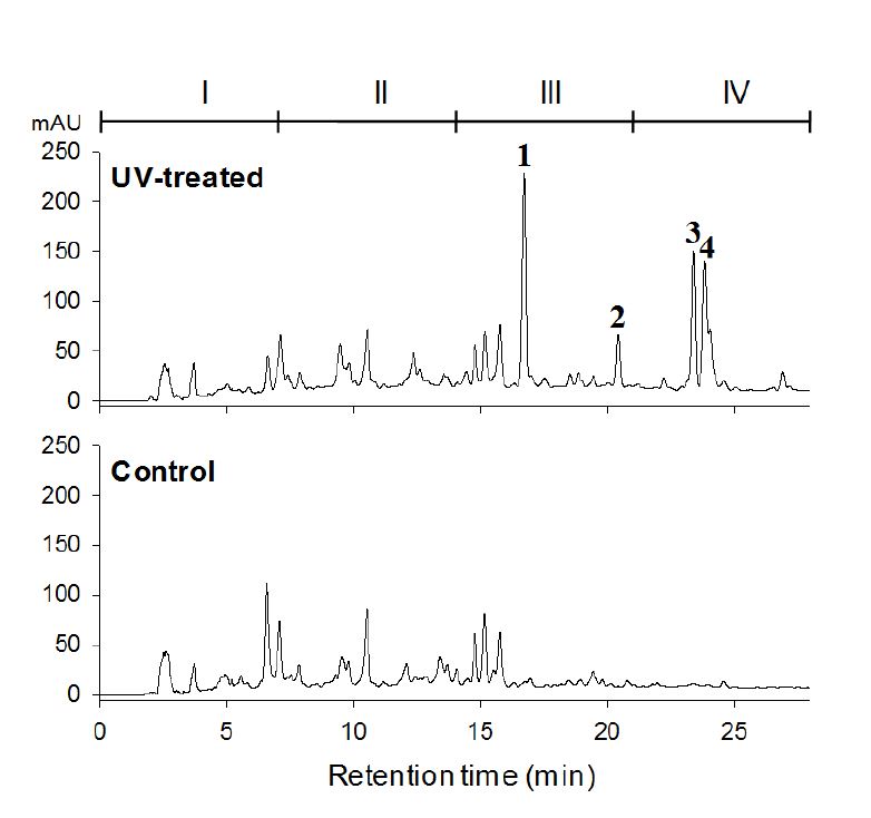 그림 9. 자외선 처리한 벼와 처리하지 않은 벼 추출 물의 역상 HPLC 분석