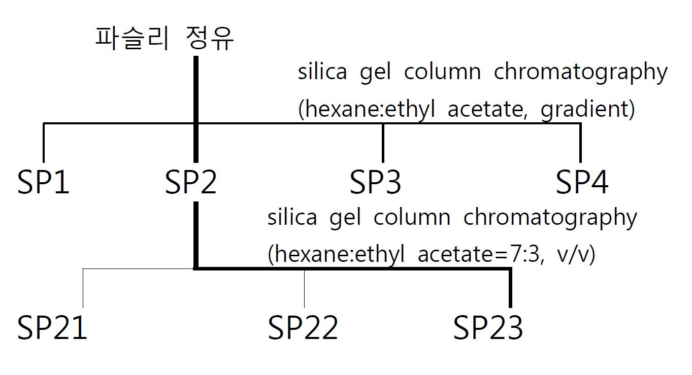 Fig. 2. Silica gel column chromatography에 의한 활성물질 분리·정제 과정