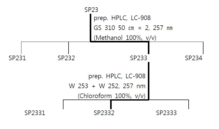 Fig. 4. Preparative HPLC에 의한 활성물질 분리·정제 과정