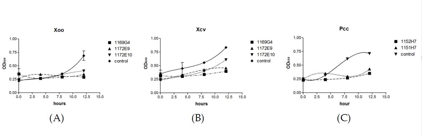 Figure 3 Selected growth curves of the three phytopathogens treated with and suppressed by Streptomyces extracts. (A) Xoo, (B) Xcv, (C)Pcc.