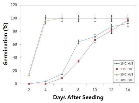 Germination research of GM (CaMsrB2-8) and non-GM (Ilmi) rice by temperature.