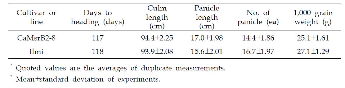 Growth characteristics research of GM (CaMsrB2-8) and non-GM (Ilmi) rice.