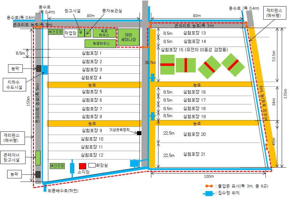 Experimental field for the analysis of gene flow in GM rice.