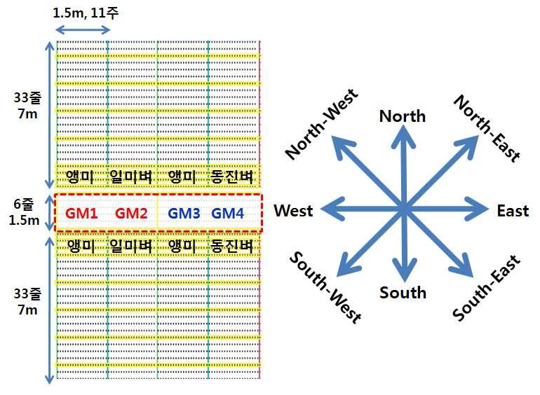 Diagrammatic presentation of the experimental design for the gene flow analysis of drought-resistant GM rice.