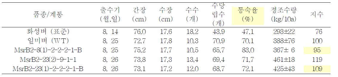 벼 천수답 재배 조건에서 주요 농업형질 비교 (3반복 평균, 1본 이앙)