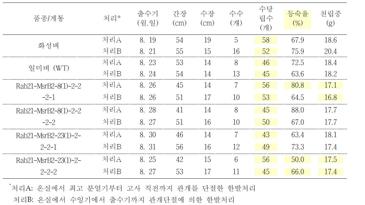 온실 가뭄저항성 계통에 대한 건조처리 후 농업형질 및 수량구성 요소(2011)