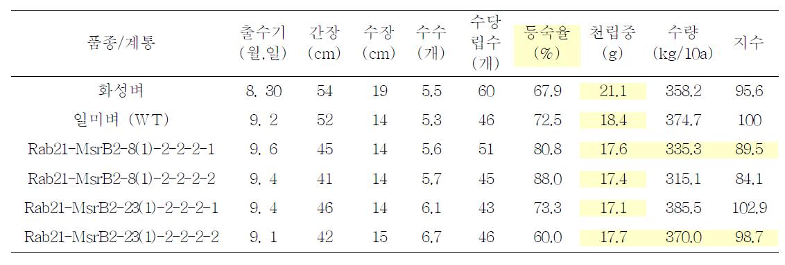 밭 재배에서 가뭄저항성 GM 계통에 대한 주요 농업형질 및 수량성 (2011)