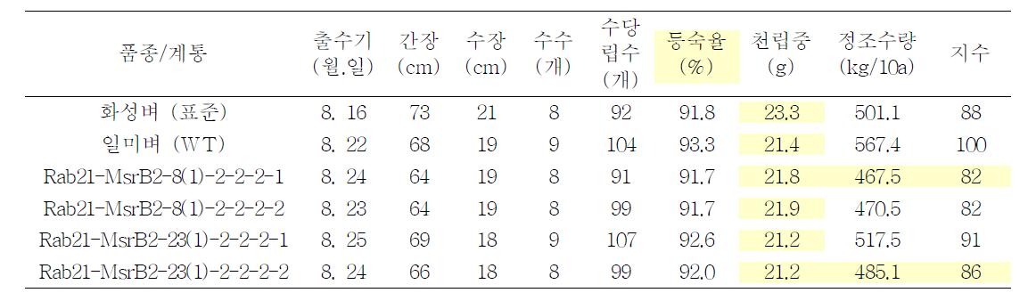 포장재배에서 가뭄저항성 GM 계통에 대한 주요 농업형질 및 수량성(2011)