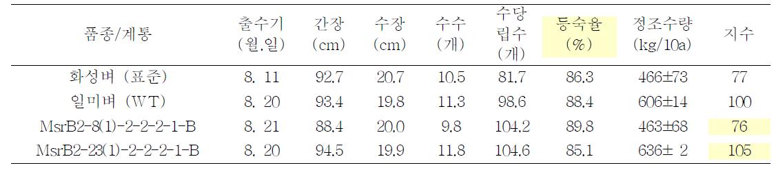 벼 표준재배 조건에서 생산력검정 시험 (대상계통 4계통, 3반복 평균, 3본 이앙)