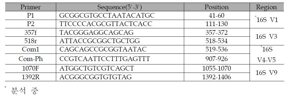 DGGE 분석에 사용된 primer 정보