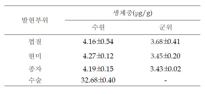 가뭄저항성 벼(종자) 및 수술의 PAT의 발현 분석