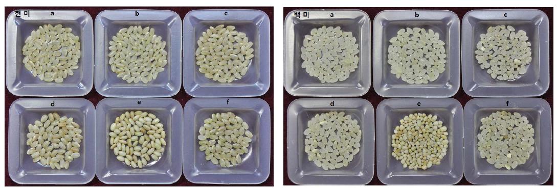 GM내건성벼(CaMsrB2-8, CaMsrB2-23)외 일반 품종의 미립특성.