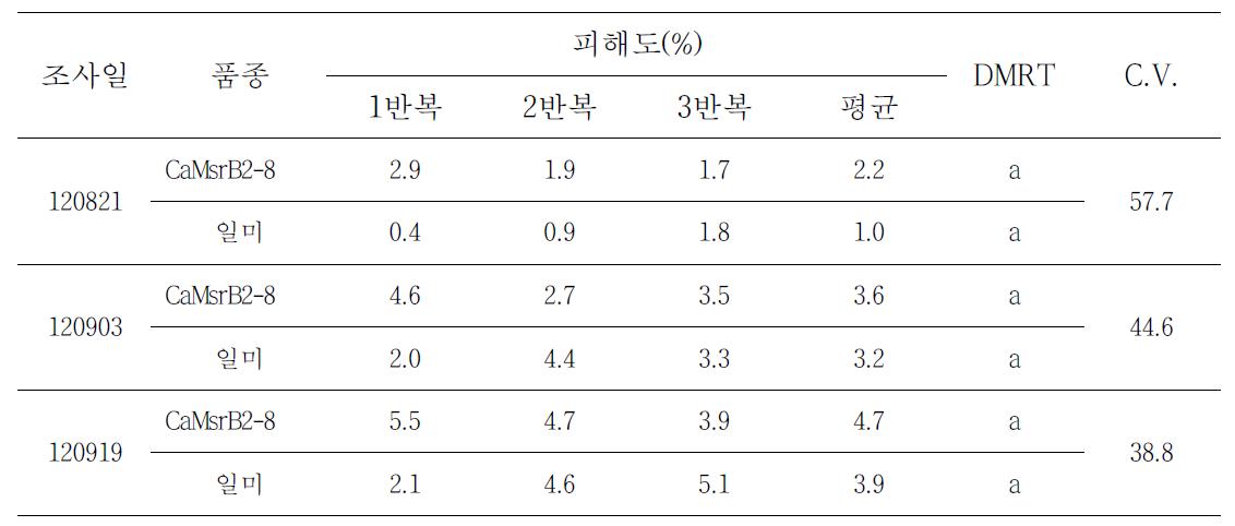 GM벼와 non-GM벼 품종간 잎집무늬마름병 병반면적율 비교