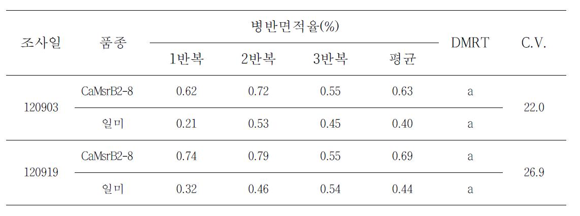 GM벼와 non-GM벼 품종간 깨씨무늬병 병반면적율 비교