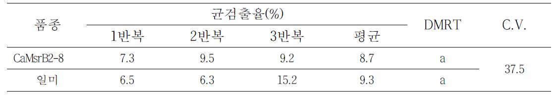 GM벼와 non-GM벼 품종간 이삭마름병 균검출율 비교