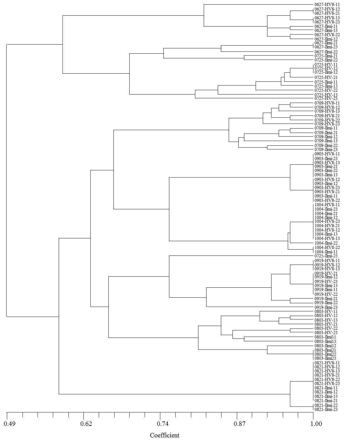 DGGE결과에 따라 작성한 곰팡이의 군집 dendrogram.