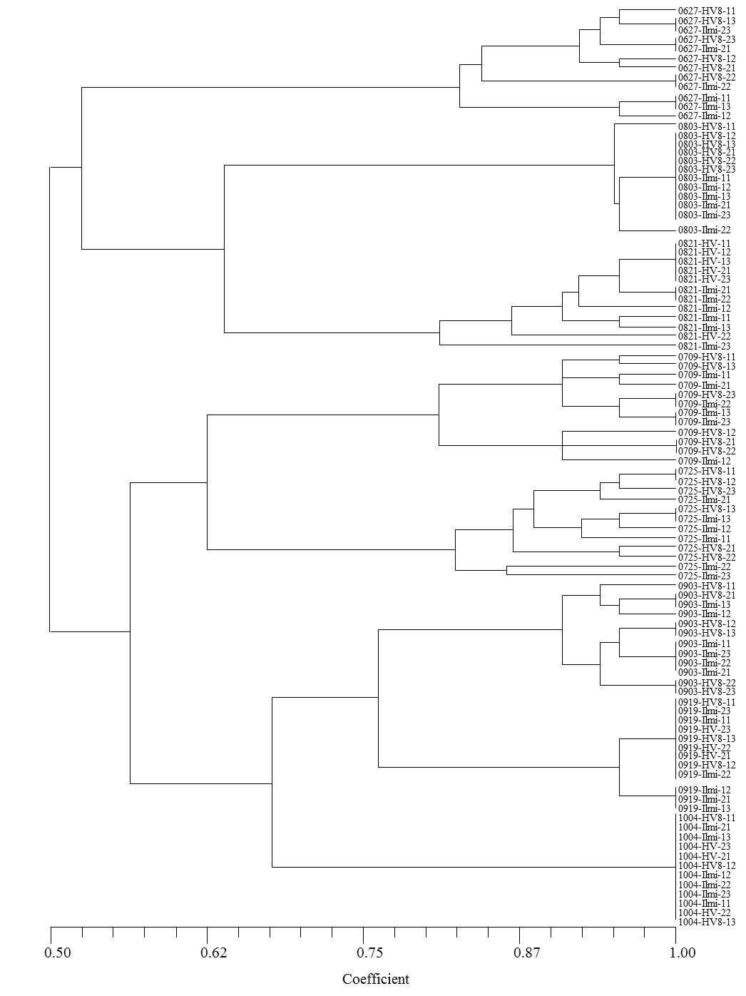 DGGE결과에 따라 작성한 세균의 군집 dendrogram.