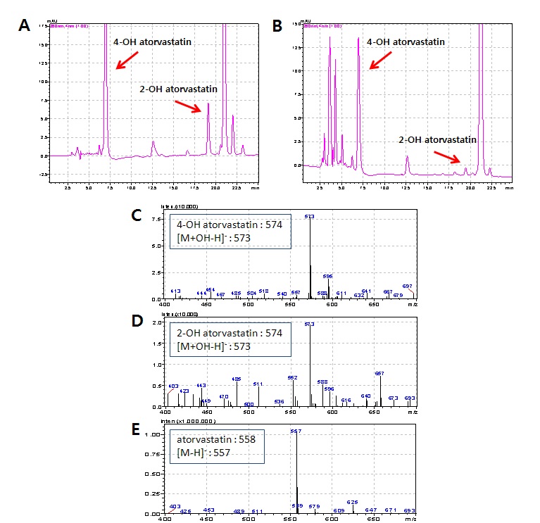 Figure. LC-MS profile of atorvastatin metabolites by human CYP3A4 [A] and CYP102A1 BM3 M#16V2 [B]