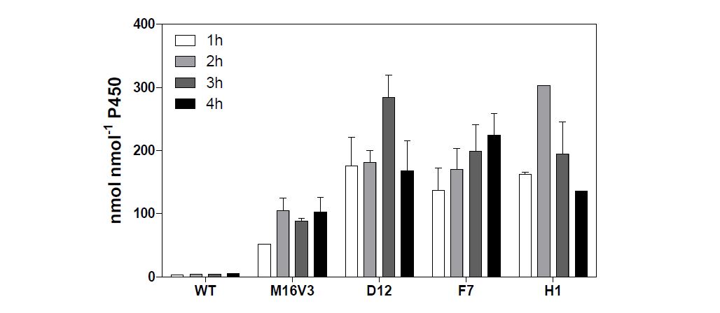 Fig 4. Total turnover numbers (TTNs) of simvastatin metabolites by CYP102A1 chimera and its mutants.