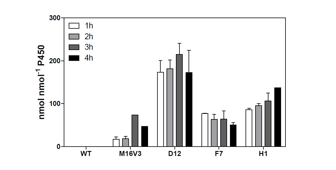 Fig 6. Total turnover numbers (TTNs) of lovastatin metabolites by CYP102A1 chimera and its mutants.