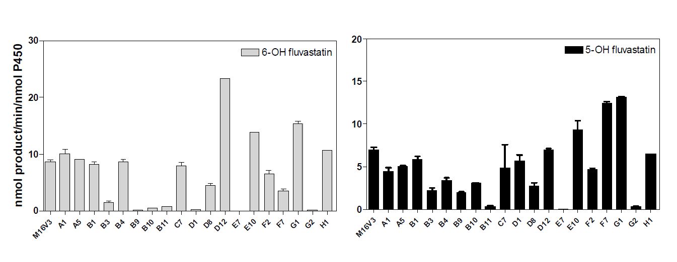 Fig 7. Rates of fluvastatin metabolite production by various CYP102A1 chimera and its mutants. Assays were performed using 100 μM fluvastatin. The formation rate of fluvastatin metabolite was determined by HPLC. Values are the mean ± S.E.M. of duplicate determinations