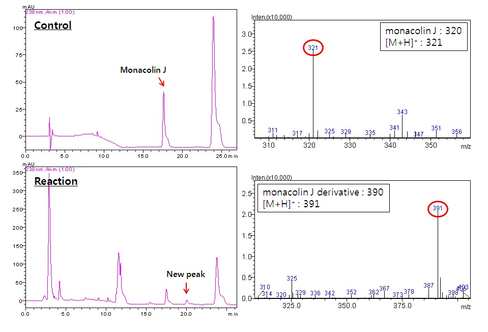 Fig 10. LC-MS profile of Transacylation activity of LovD with bytyryl-CoA